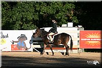 4H-District-2005-1474.jpg