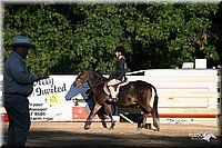 4H-District-2005-1476.jpg