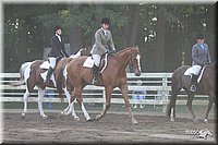 4H-District-2005-1736.jpg