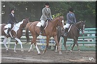 4H-District-2005-1738.jpg