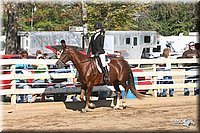 4H-District-2005-1753.jpg