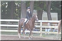 4H-District-2005-1772.jpg