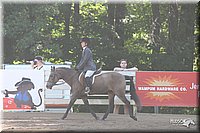 4H-District-2005-1889.jpg