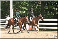 4H-District-2005-2232.jpg