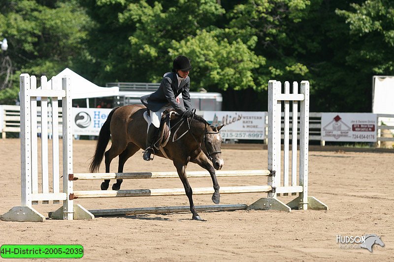 4H-District-2005-2039.jpg