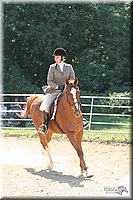 4H-District-2005-2115.jpg