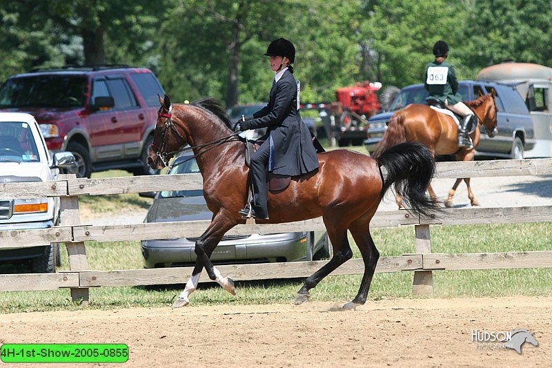 4H-1st-Show-2005-0855.jpg