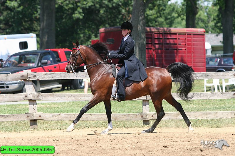 4H-1st-Show-2005-0857.jpg