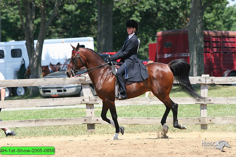 4H-1st-Show-2005-0858.jpg