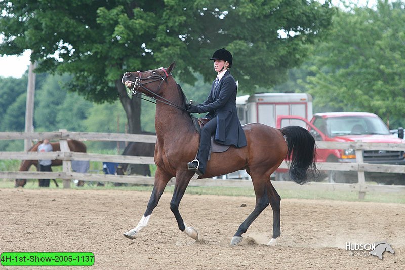 4H-1st-Show-2005-1137.jpg