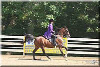 4H-District-2005-2173.jpg