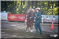 4H-District-2005-0403.jpg