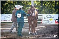 4H-District-2005-0406.jpg