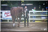 4H-District-2005-0412.jpg