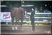 4H-District-2005-0413.jpg