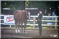 4H-District-2005-0414.jpg