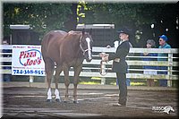 4H-District-2005-0415.jpg