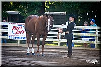 4H-District-2005-0417.jpg