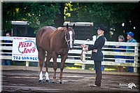 4H-District-2005-0419.jpg