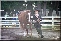 4H-District-2005-0421.jpg