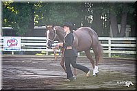 4H-District-2005-0423.jpg