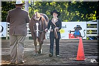 4H-District-2005-0431.jpg