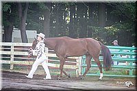 4H-District-2005-0438.jpg