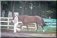 4H-District-2005-0439.jpg