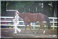 4H-District-2005-0440.jpg