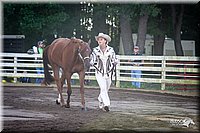 4H-District-2005-0450.jpg