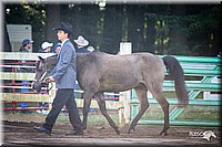 4H-District-2005-0475.jpg