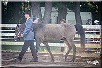 4H-District-2005-0477.jpg