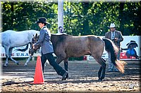 4H-District-2005-0487.jpg