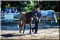 4H-District-2005-0491.jpg