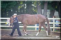 4H-District-2005-0497.jpg