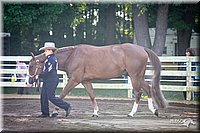 4H-District-2005-0498.jpg