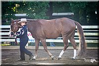 4H-District-2005-0499.jpg