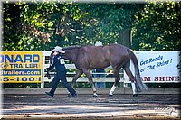 4H-District-2005-0514.jpg