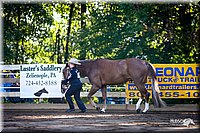 4H-District-2005-0515.jpg