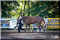 4H-District-2005-0516.jpg