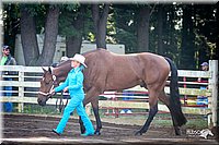 4H-District-2005-0540.jpg