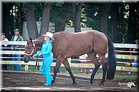 4H-District-2005-0541.jpg