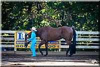 4H-District-2005-0569.jpg