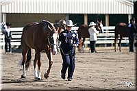 4H-District-2005-0571.jpg