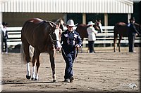 4H-District-2005-0572.jpg