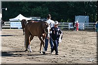 4H-District-2005-0578.jpg