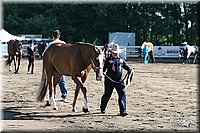 4H-District-2005-0579.jpg