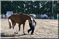 4H-District-2005-0581.jpg