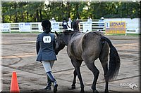 4H-District-2005-1586.jpg