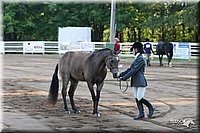 4H-District-2005-1592.jpg